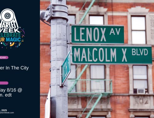 Summer in the City Live